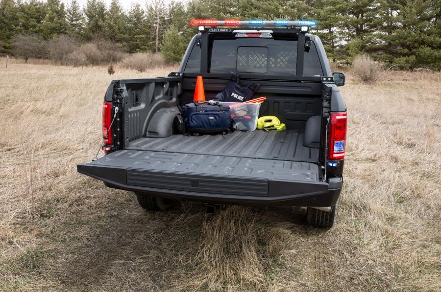  Ford F-150 Special Service Vehicle 2016 года  (фото 4 из 6)